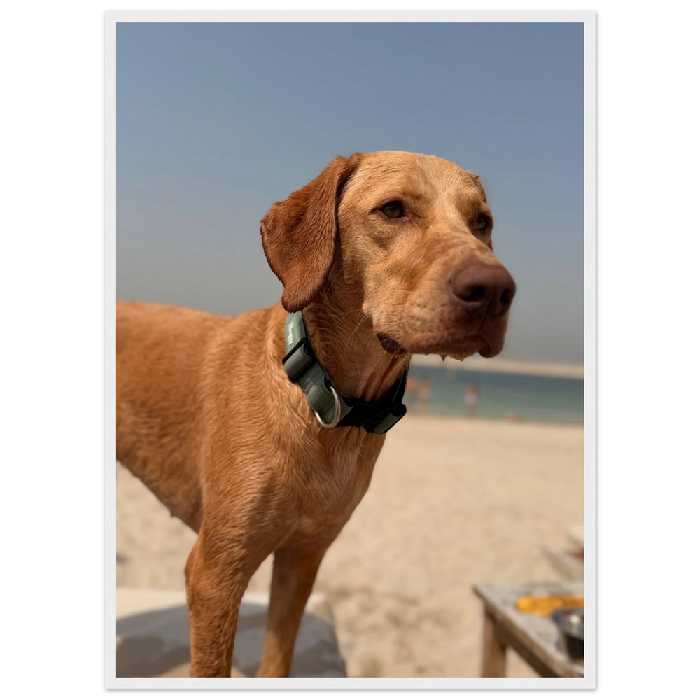 Custom Pet Portrait
